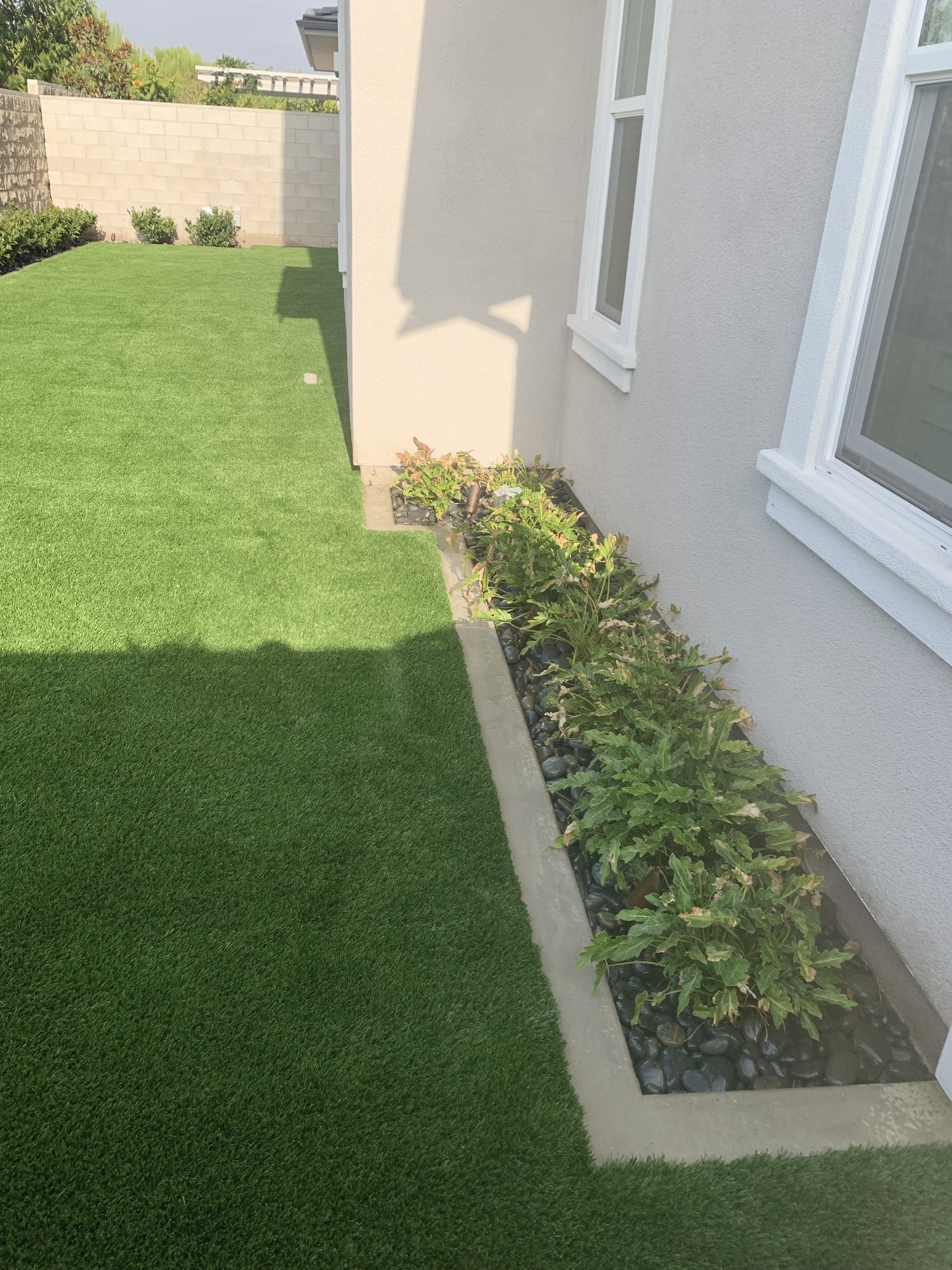 Artificial turf, Orange County