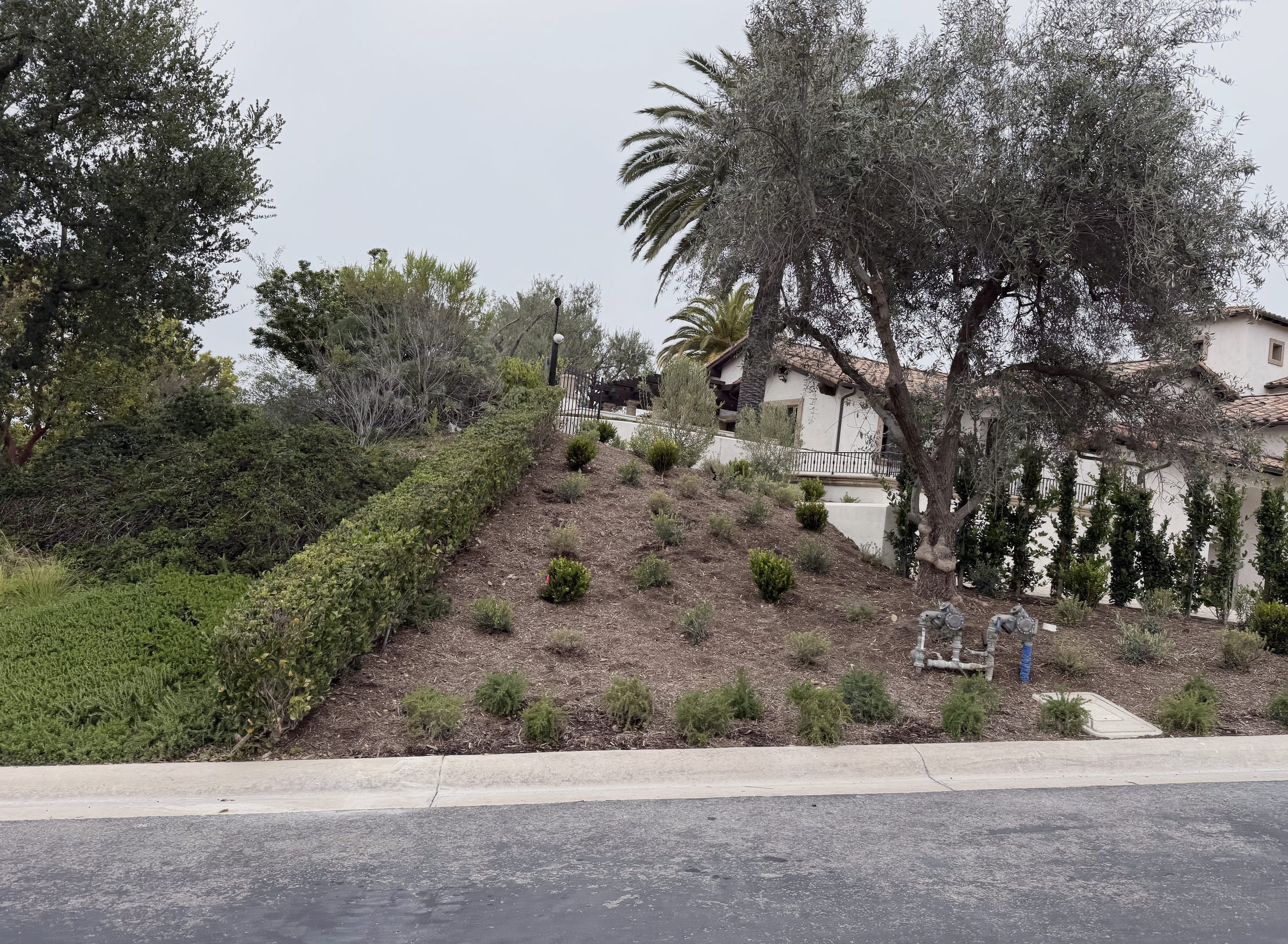 Complete yard, Orange County